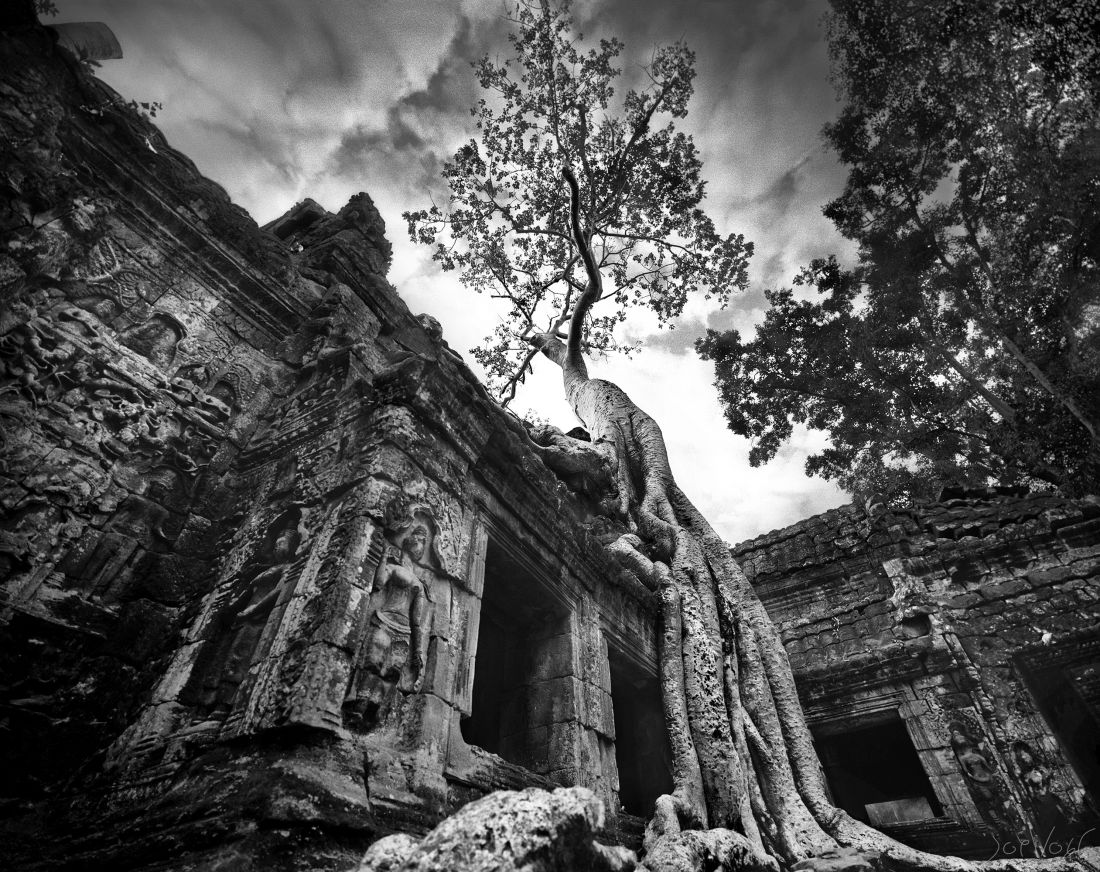 Ta Prohm V Angkor Cambodge