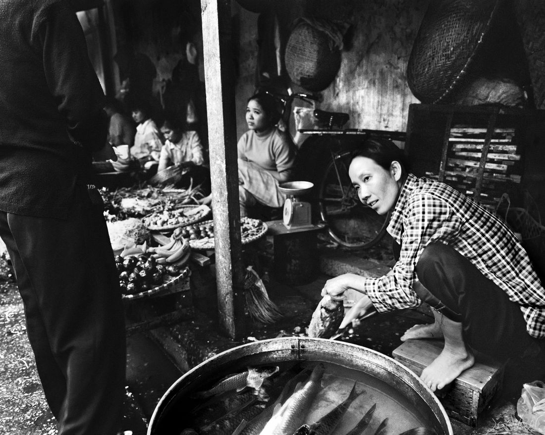 Poissons Hoi An Vietnam